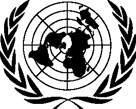 United Nations Logo